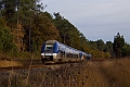 Dans la forêt landaise, voila le B 81593-94 en UM le 09.11.2008